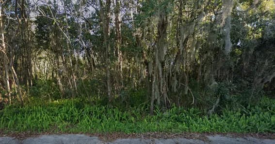 664 McDower Lane, Orange Park, FL, 32073