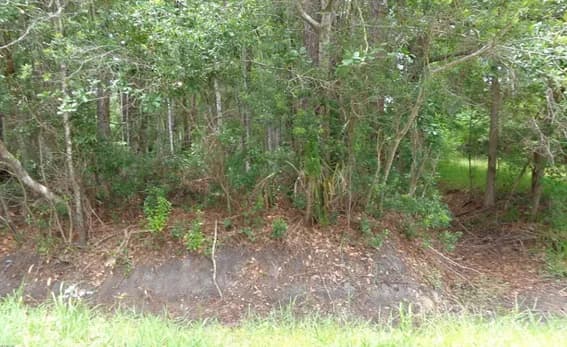 469 Spaulding Road, Jacksonville, FL, 32218