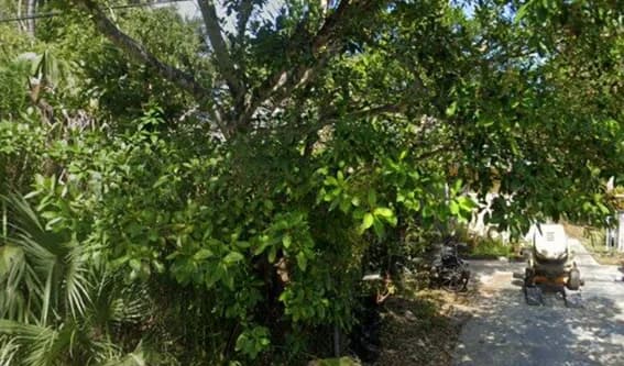 510 Capitol Street, North Fort Myers, FL, 33903