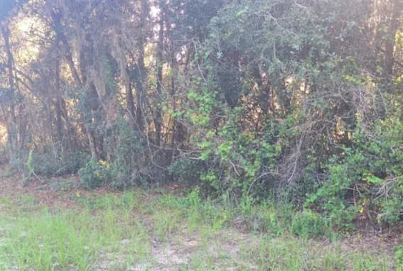 97 South Courtland Boulevard, Deltona, FL, 32738