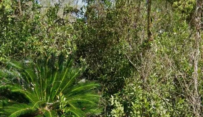 606 Northwest 36th Avenue, Gainesville, FL, 32609