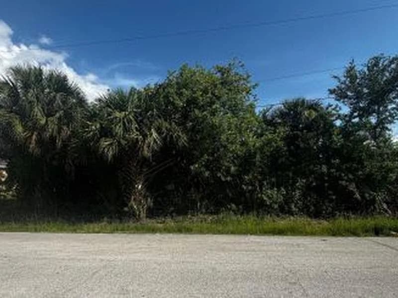 Fitzsimmons Street, Palm Bay, FL, 32908
