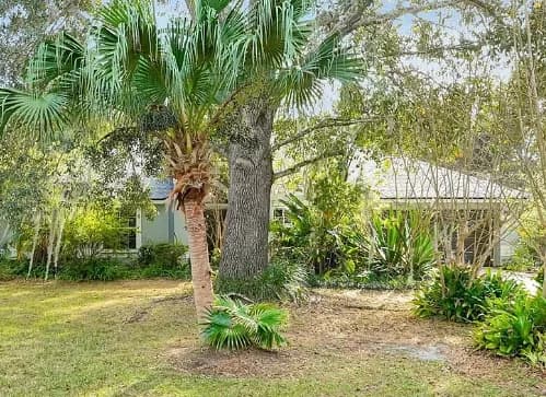 9814 Moorgate Street, Orlando, FL, 32833
