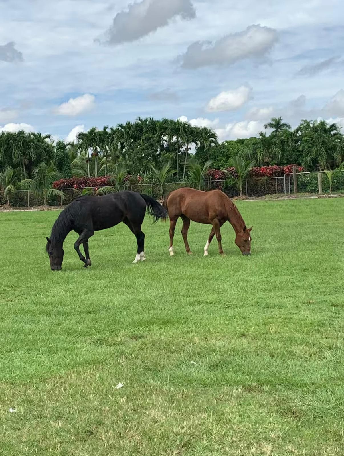 Southwest Avenue, Eagle Bay, NY, 13331 β photo 15